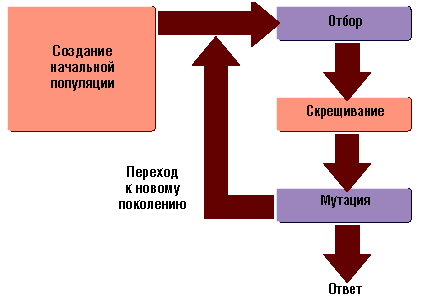 Реферат: Генетические алгоритмы и их практическое применение Реферат: Генетические алгоритмы и их практическое применение