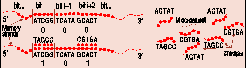 https://www.itweek.ru/images/pcweek/archive/8002_963820201_3.rtf.files/image033.gif