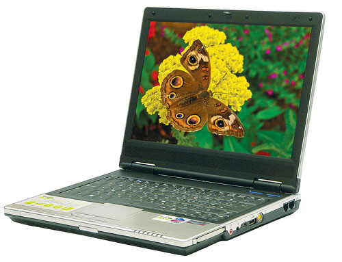 Масса ноутбуков DESTEN easyBook P 732W и P 332W составляет всего 1,9 кг