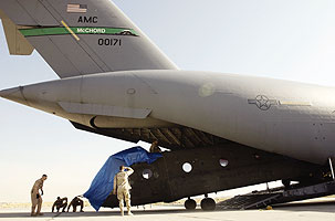 Военнослужащие в Афганистане выгружают вертолет CH-47D Chinook с борта грузового самолета C-17 Globemaster III