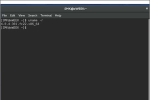 В Fedora 22 дебютирует Linux 4. Fedora 22 базируется на ядре Linux 4.0, выпущенном 12 апреля. В этом ядре реализована возможность обновления на лету, позволяющая устанавливать патчи ядра Linux без перезагрузки системы.