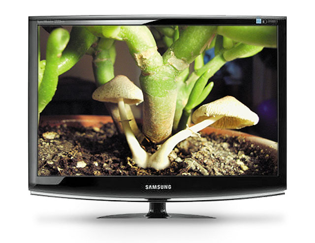 Samsung 2233NW Samsung 2233NW