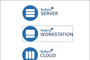 Fedora 22 выходит в трех вариантах. Дистрибутив Fedora 22, как и Fedora 21, представлен тремя разными продуктами: версиями Fedora Workstation, Fedora Server и Fedora Cloud.