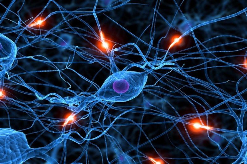 Эксперимент: возможность выбирать себе нейроны повышает эффективность нейронной сети