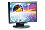 NEC MultiSync EA221W