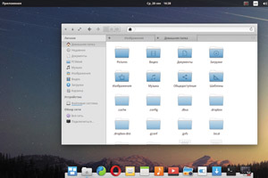 Elementary OS 0.4 Loki:     