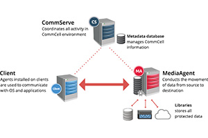  Commvault      