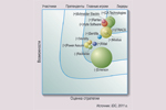 Данные IDC о положении вендоров на мировом рынке DCIM.  Источник: IDC, 2011 г.