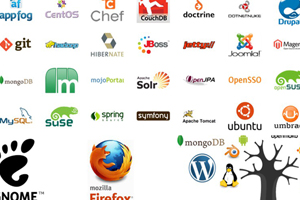 Споры о том, какой же софт лучше — проприетарный или открытый — кончатся не скоро. Важнее другое — насколько квалифицированный ИБ-персонал с ним работает