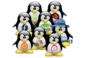 Спрос на специалистов в области Open Source усиливается из-за набирающего обороты движения DevOps, а также роста популярности облаков и контейнеров