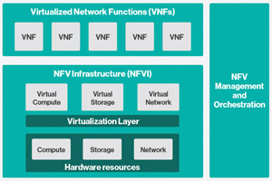 Условная схема строения NFV-домена