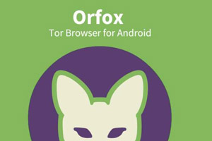 Разработчики портировали из Tor Browser в меню Orfox переключатель уровня безопасности, который постепенно отключает все потенциально небезопасные функции в браузере